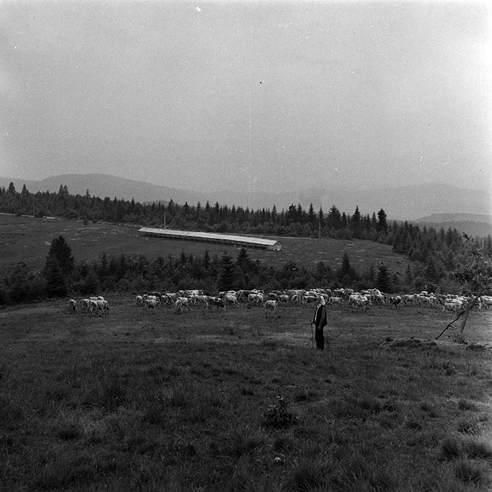 minerva_1985_c1_c10r4_012