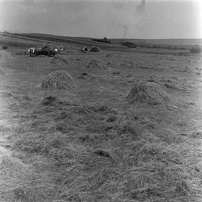 minerva_1985_c1_c10r4_014