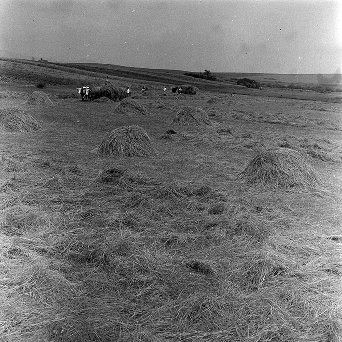 minerva_1985_c1_c10r4_015