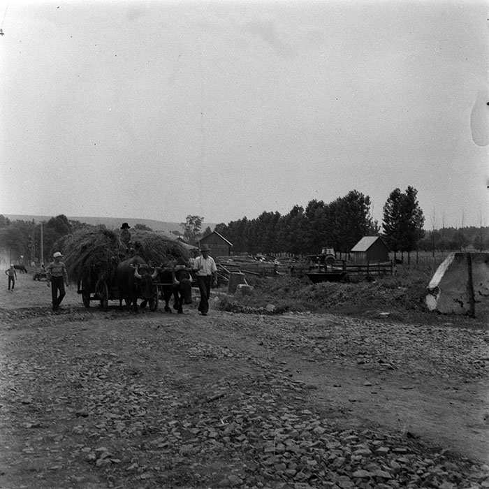 minerva_1985_c1_c10r4_017