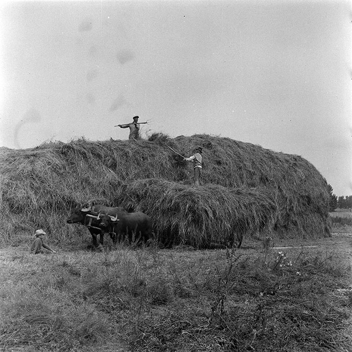 minerva_1985_c1_c10r4_019