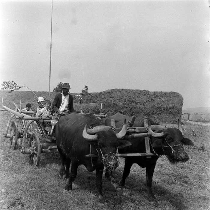 minerva_1985_c1_c10r4_021