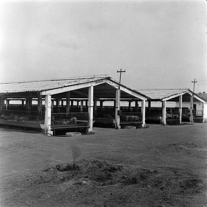 minerva_1985_c1_c10r4_023