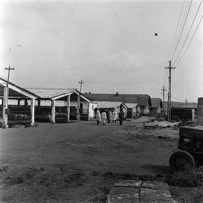 minerva_1985_c1_c10r4_024