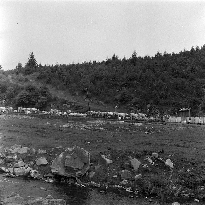 minerva_1985_c1_c10r4_025