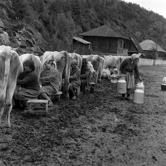 minerva_1985_c1_c10r4_027