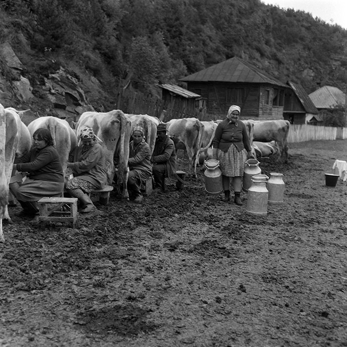 minerva_1985_c1_c10r4_028