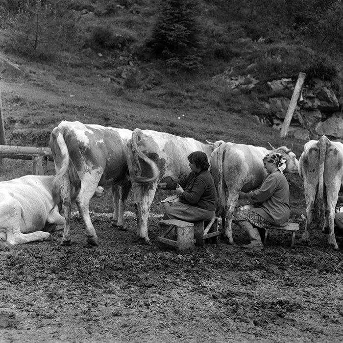 minerva_1985_c1_c10r4_030