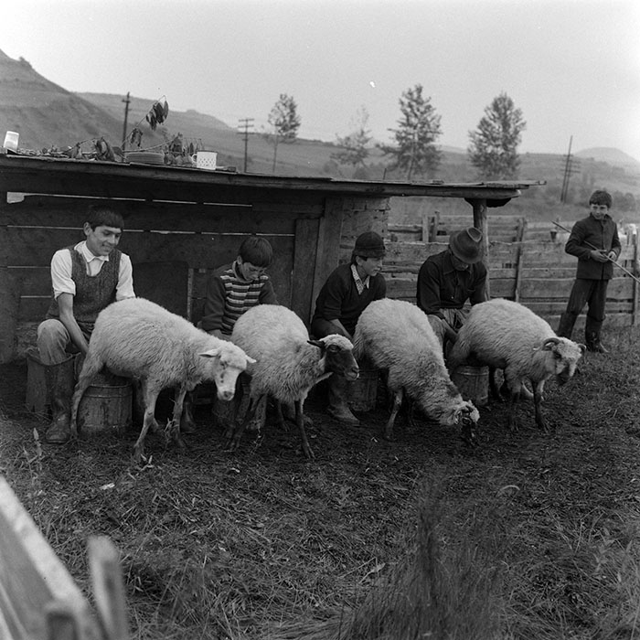 minerva_1985_c1_c10r4_031