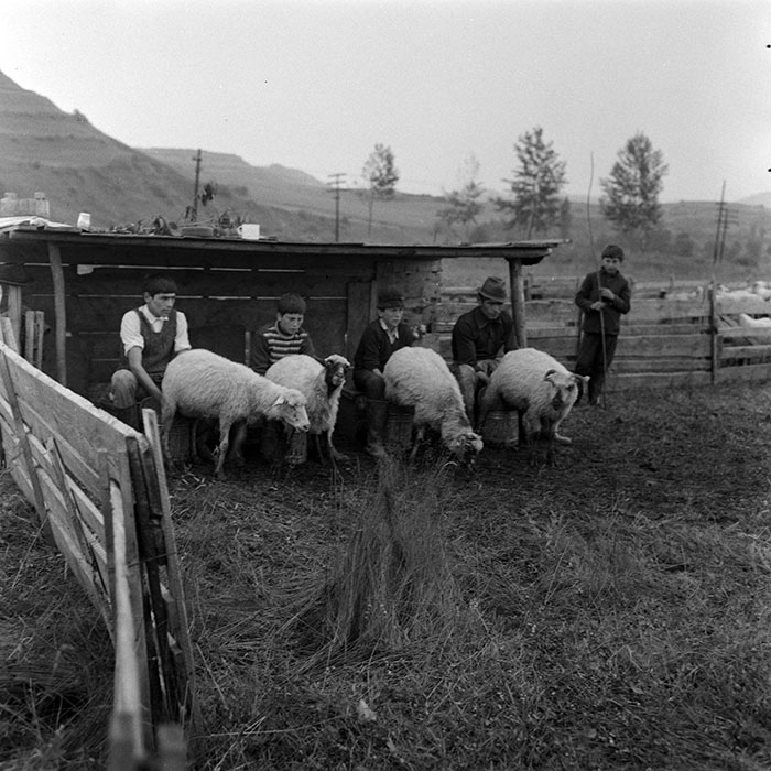 minerva_1985_c1_c10r4_032