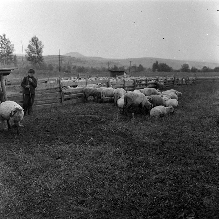 minerva_1985_c1_c10r4_033