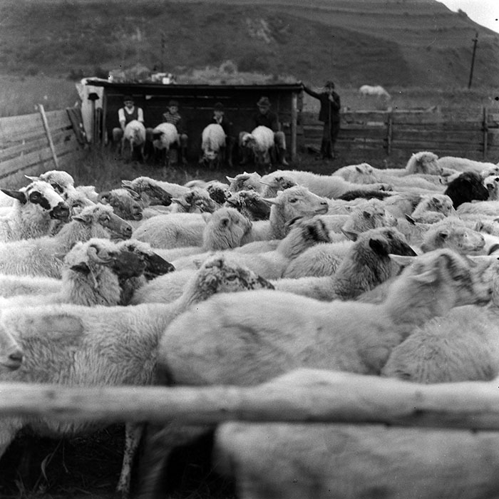 minerva_1985_c1_c10r4_034