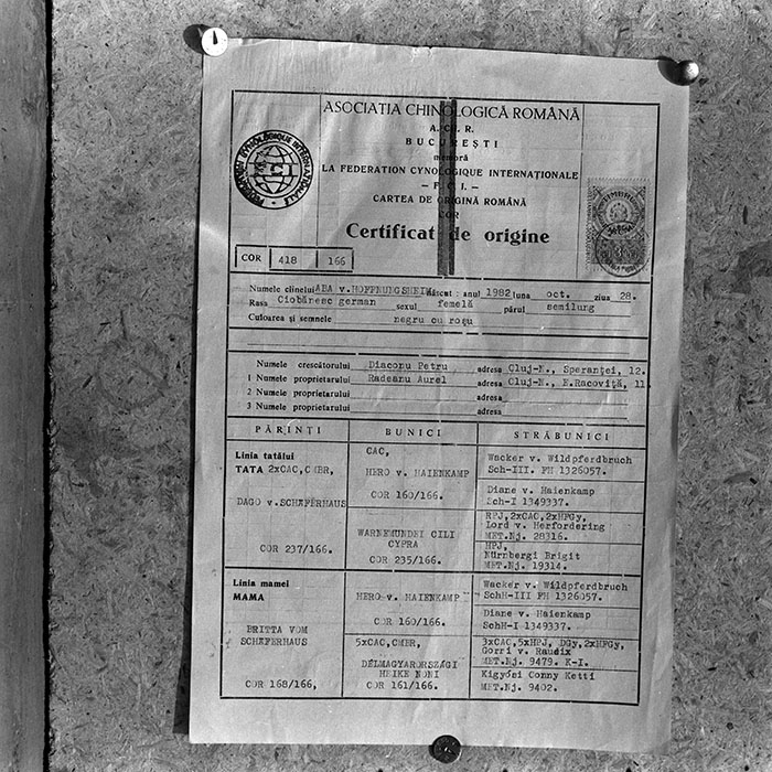 minerva_1985_c1_c10r5_019