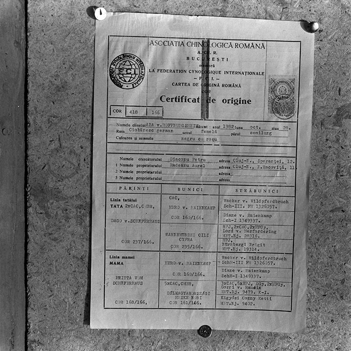 minerva_1985_c1_c10r5_020