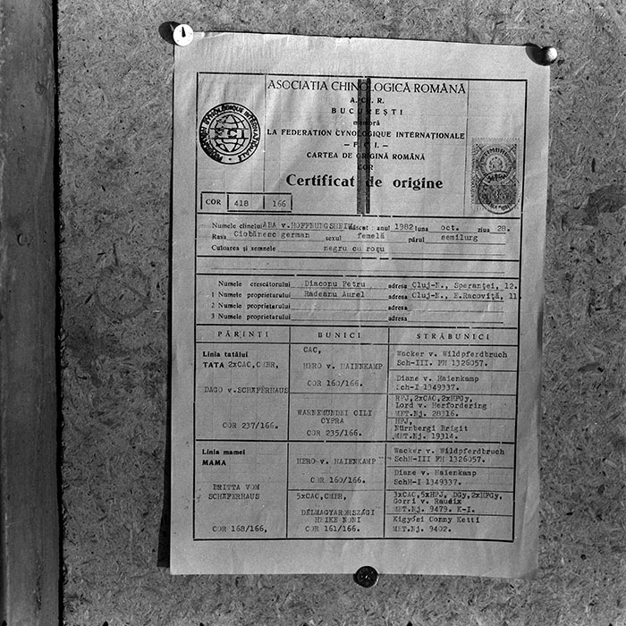 minerva_1985_c1_c10r5_021