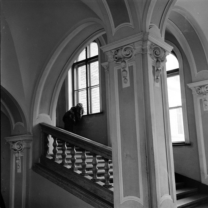 minerva_1985_c1_c2r4_011