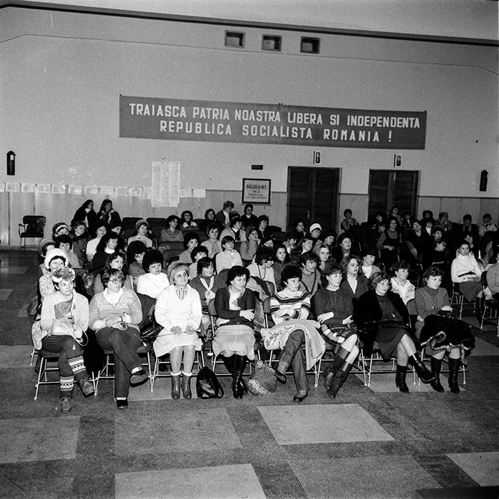 minerva_1985_c1_c3r1_010