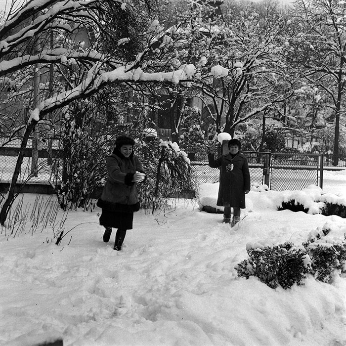 minerva_1985_c1_c4r5_005