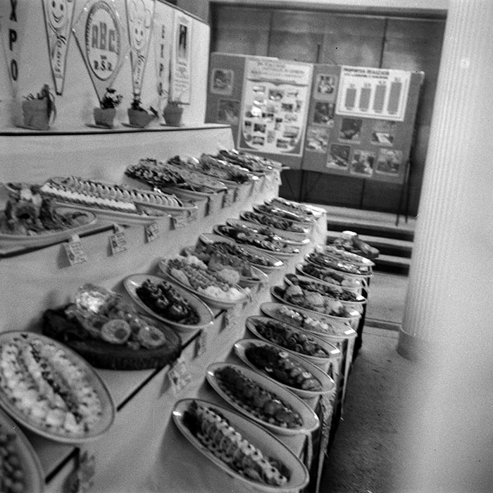 minerva_1985_c1_c5r5_005