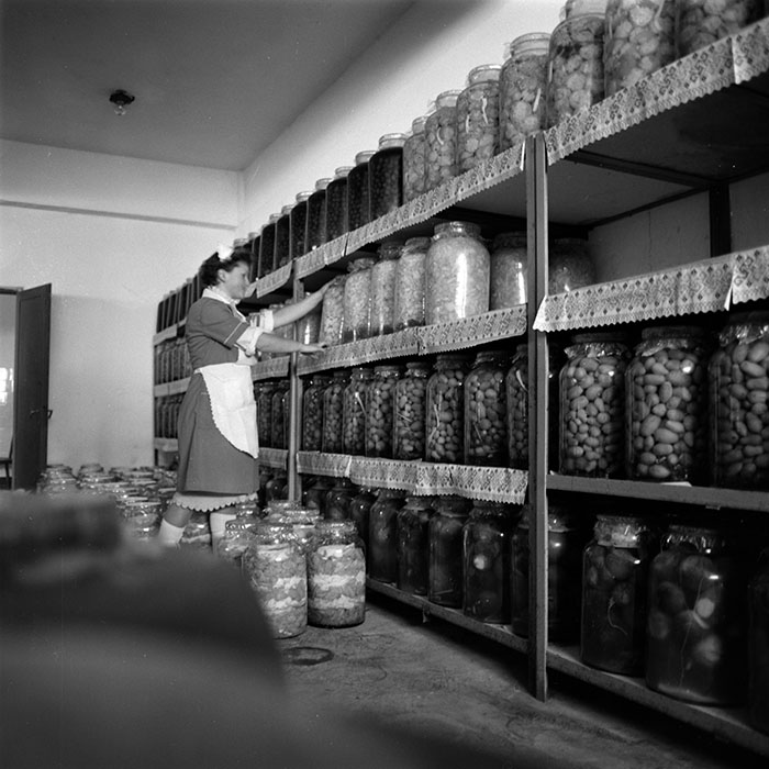 minerva_1985_c1_c6r1_003