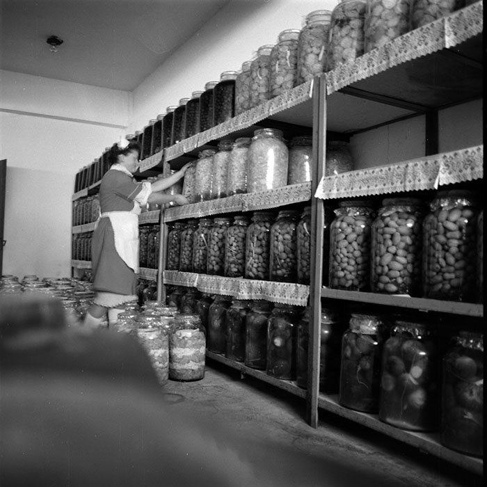 minerva_1985_c1_c6r1_005