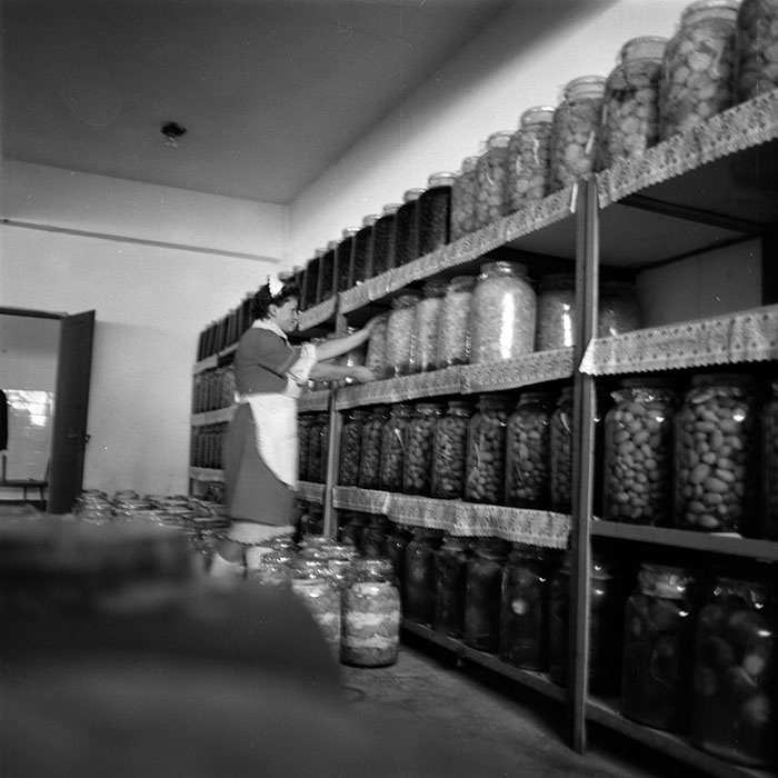 minerva_1985_c1_c6r1_006