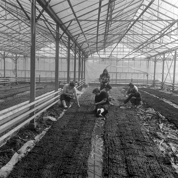 minerva_1985_c1_c6r3_007