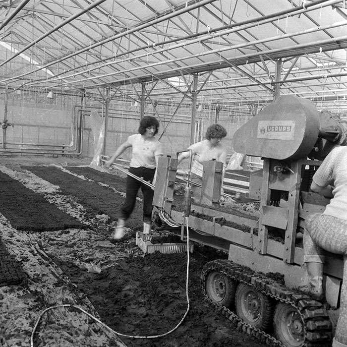 minerva_1985_c1_c6r3_009