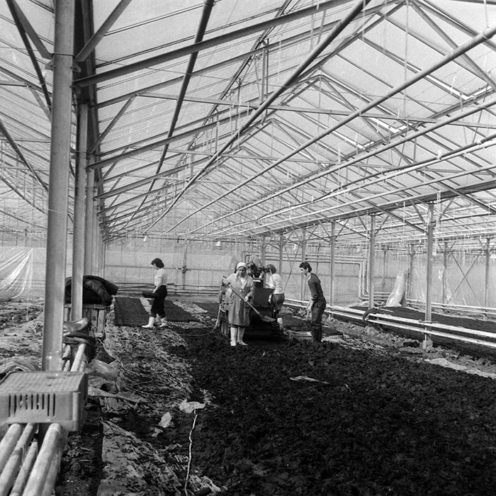 minerva_1985_c1_c6r3_010