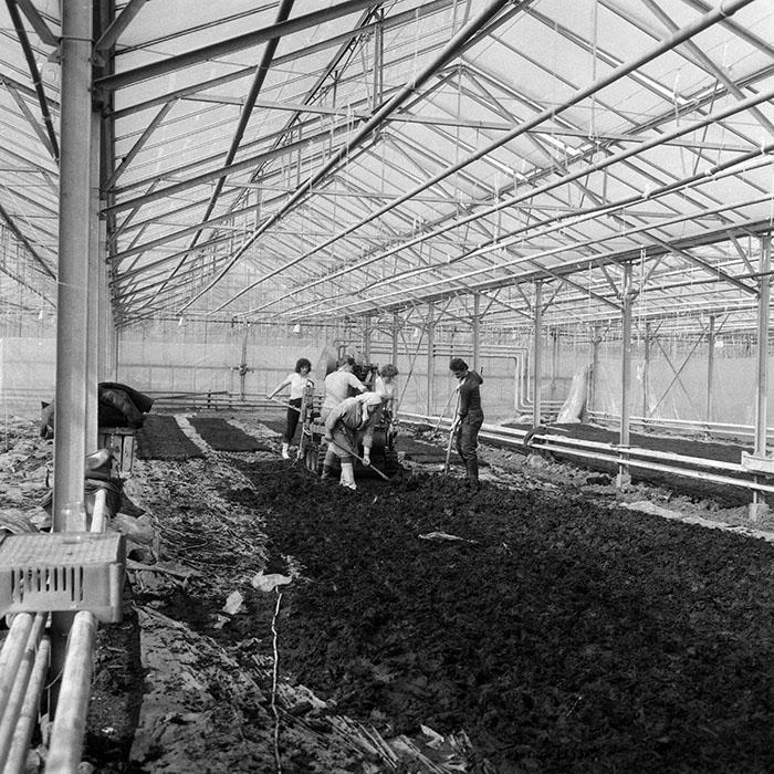 minerva_1985_c1_c6r3_011