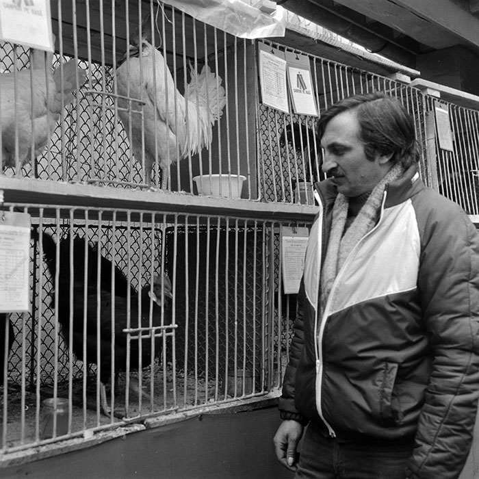 minerva_1985_c1_c6r4_004