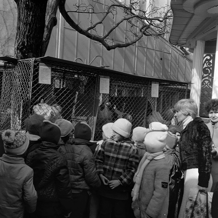 minerva_1985_c1_c6r4_008