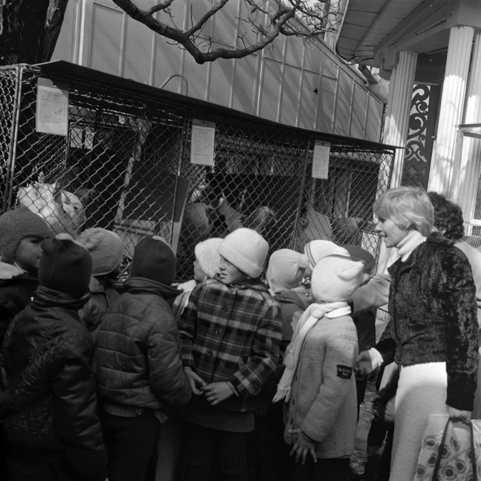 minerva_1985_c1_c6r4_009