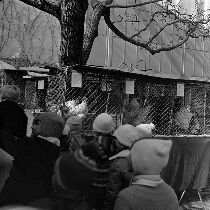 minerva_1985_c1_c6r4_010