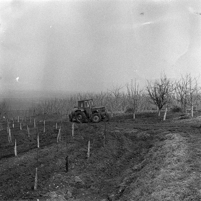 minerva_1985_c1_c6r4_013