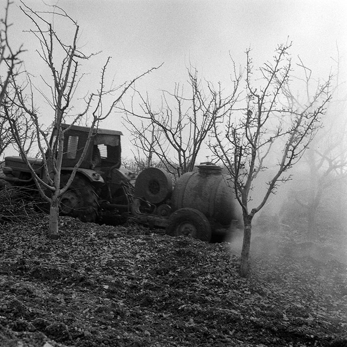 minerva_1985_c1_c6r4_014