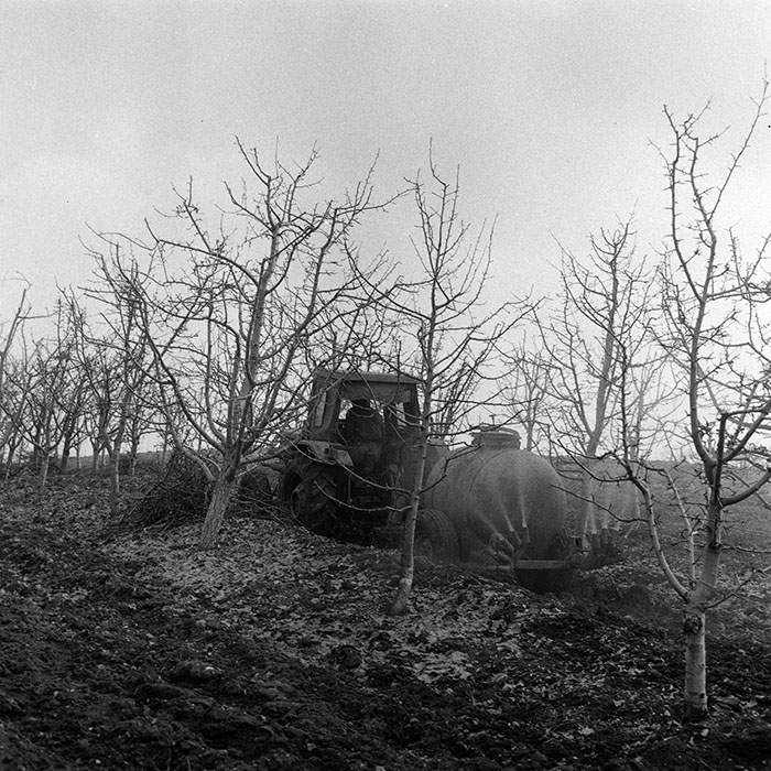 minerva_1985_c1_c6r4_015