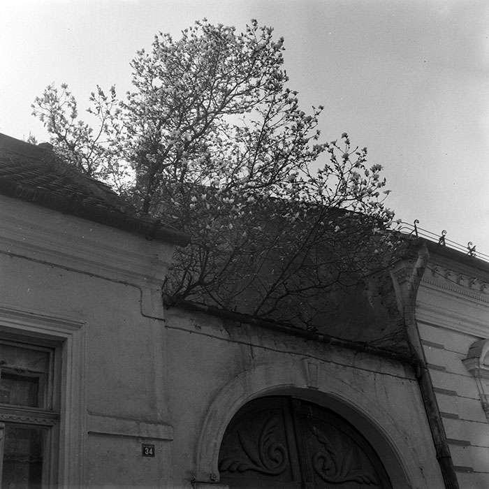 minerva_1985_c1_c7r2_002