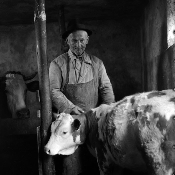 minerva_1985_c1_c7r2_014