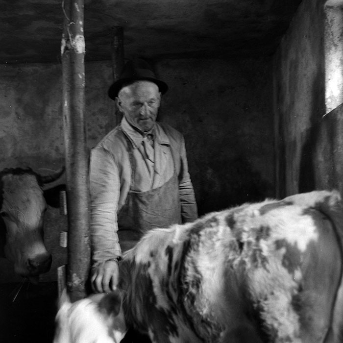 minerva_1985_c1_c7r2_016