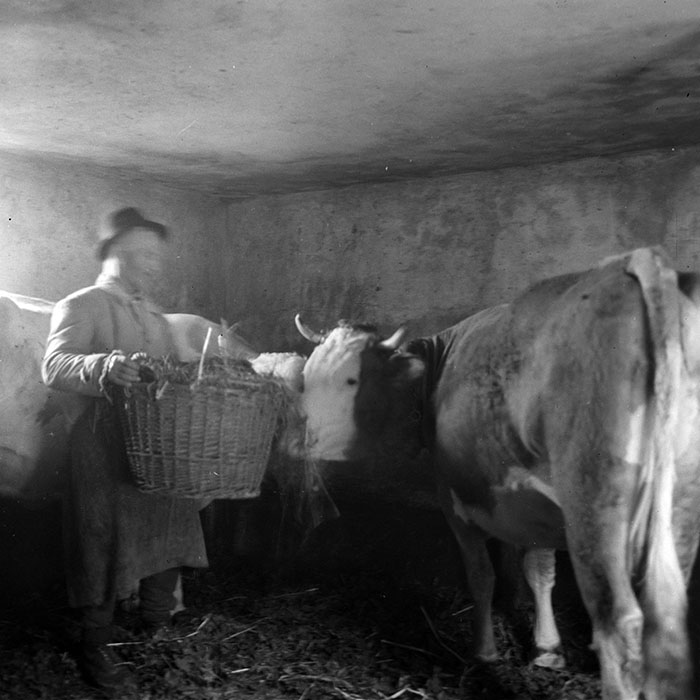 minerva_1985_c1_c7r2_017