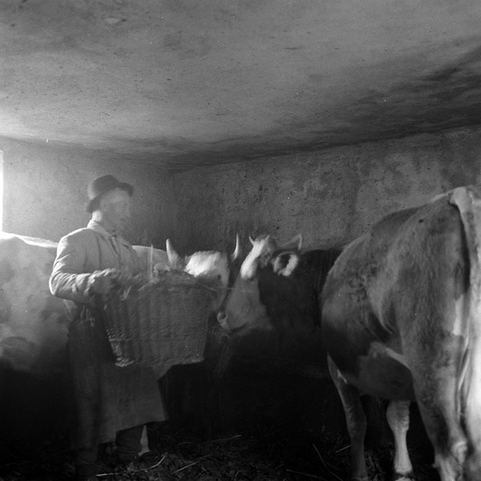 minerva_1985_c1_c7r2_018