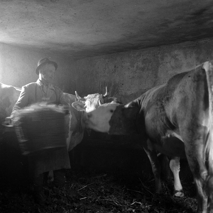 minerva_1985_c1_c7r2_019