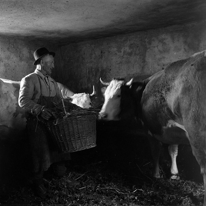 minerva_1985_c1_c7r2_020