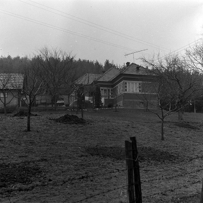 minerva_1985_c1_c7r2_021