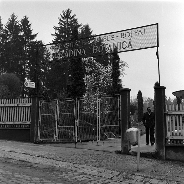 minerva_1985_c1_c7r2_023