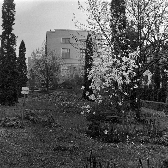 minerva_1985_c1_c7r2_030