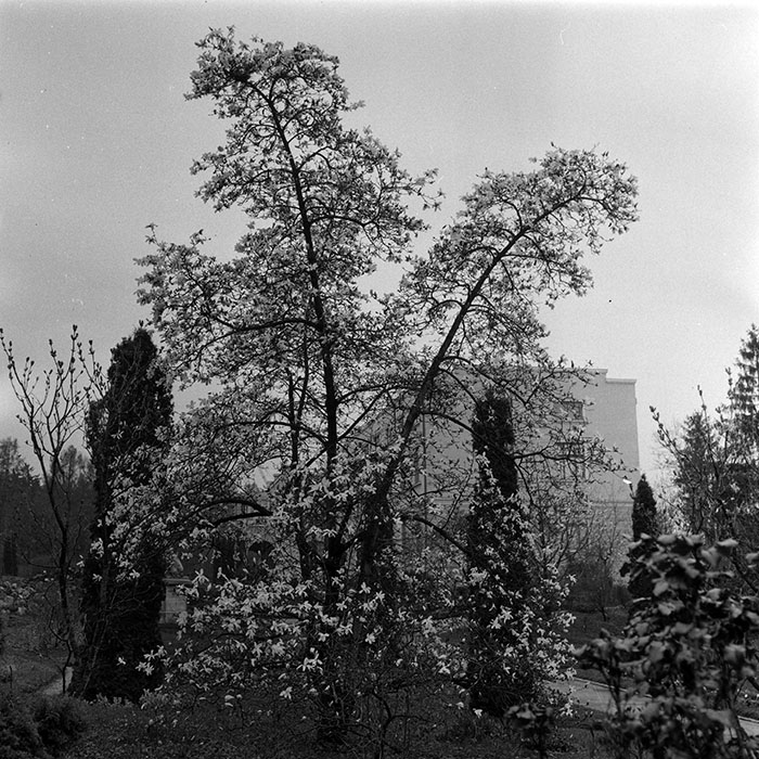 minerva_1985_c1_c7r2_031