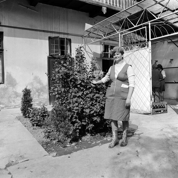 minerva_1985_c1_c8r3_022