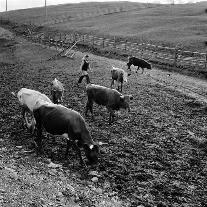 minerva_1985_c1_c8r4_004